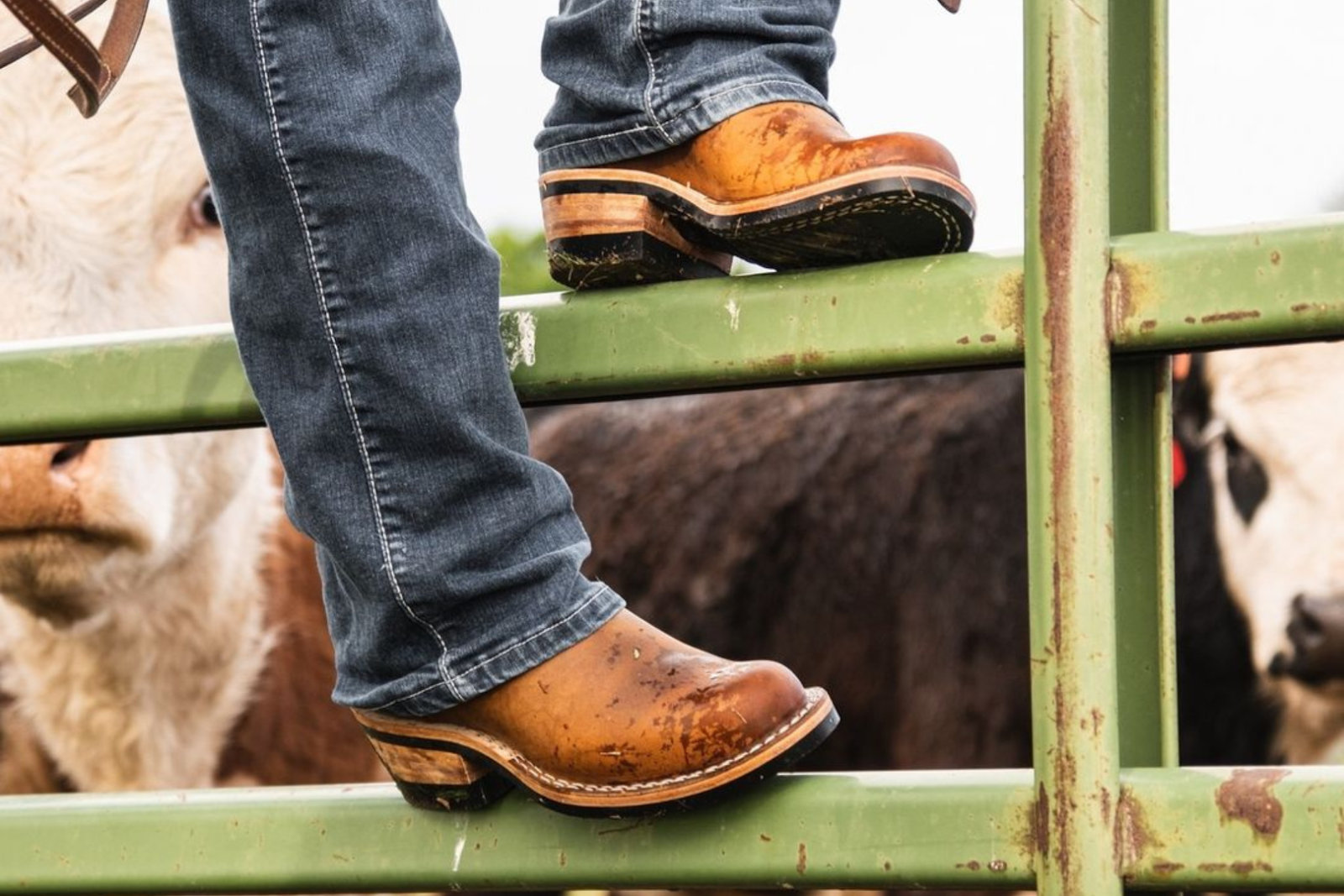 Shoe station shop cowboy boots