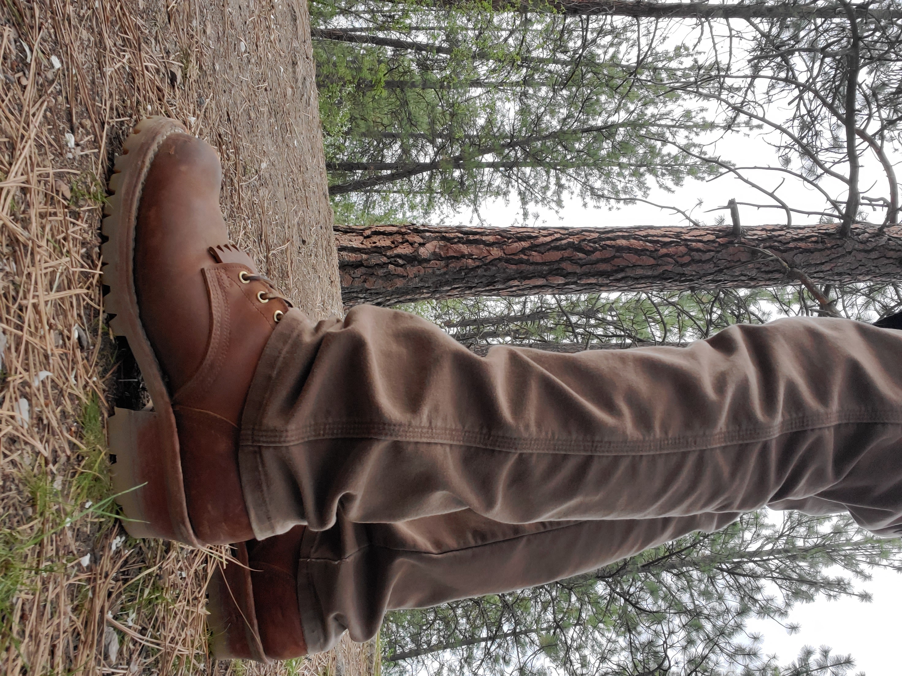 Steel Toe Hiking Boots: The Best Work Boot for Hiking